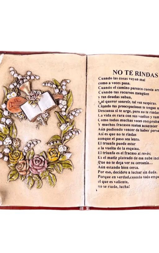 Libro colección no te rindas